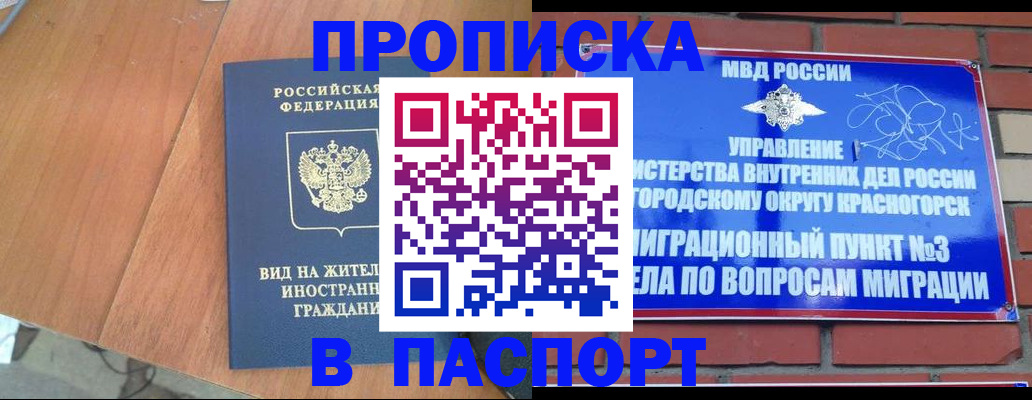 найти адрес прописки в Каменке